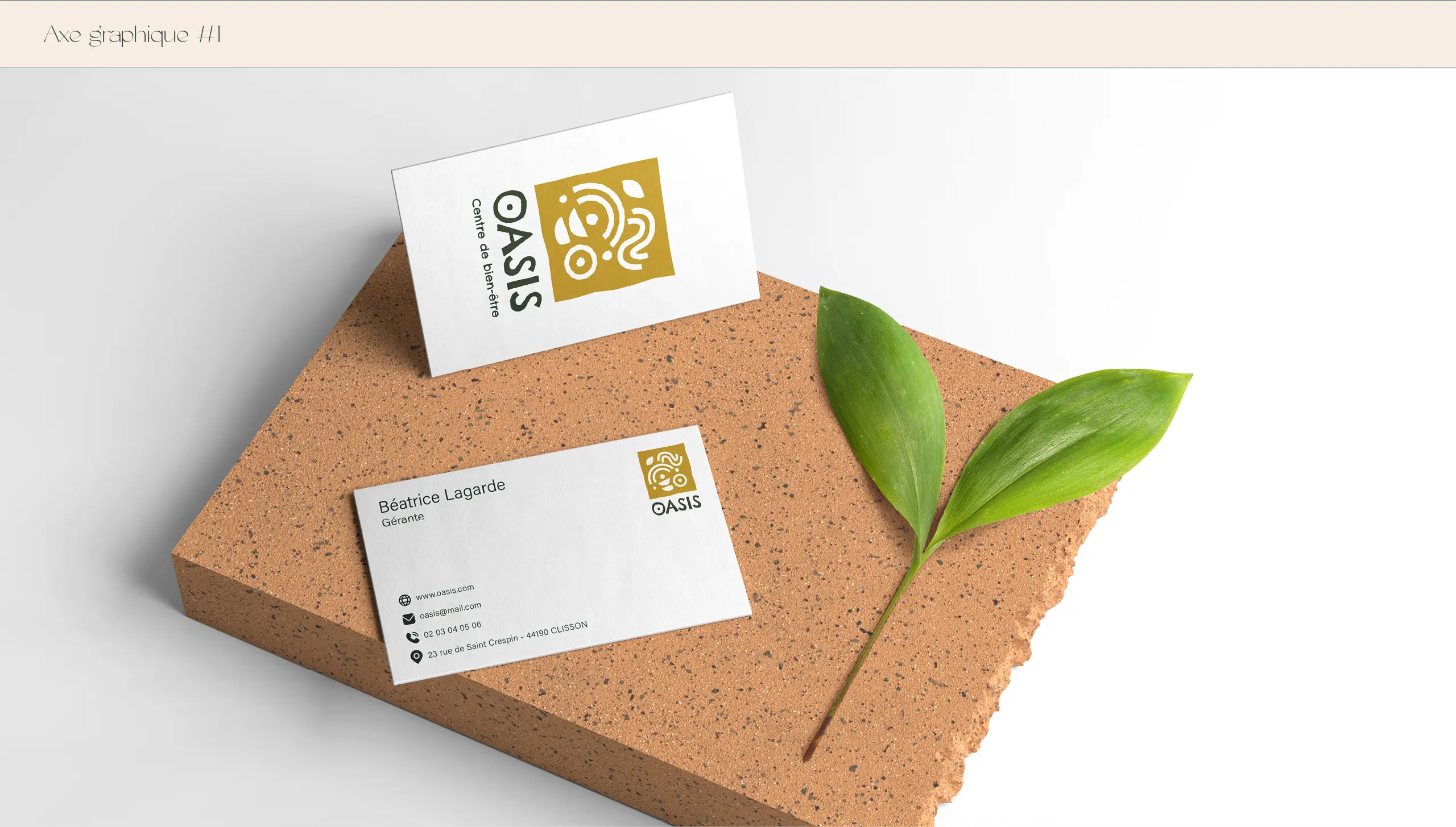 Le jardin de Dana - Visual brand / Website design