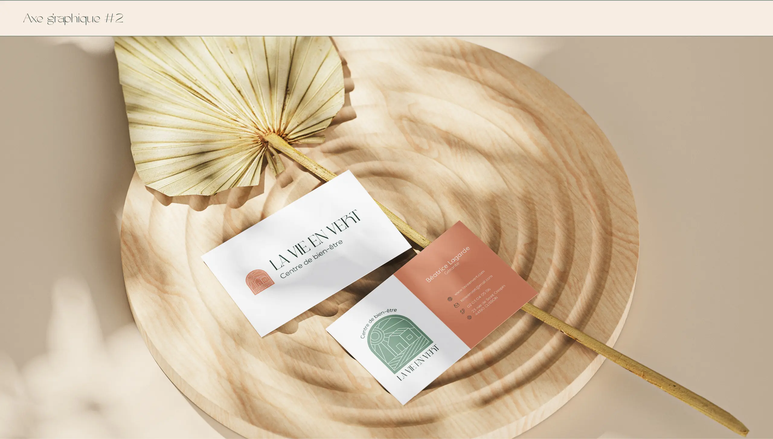 Le jardin de Dana - Visual brand / Website design