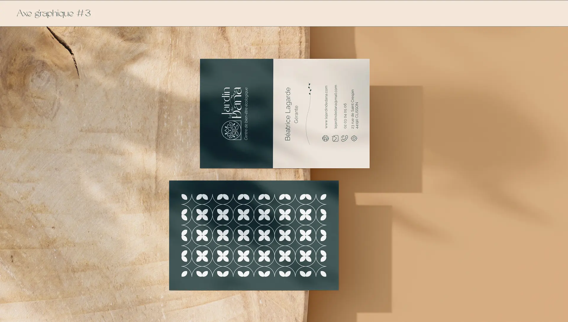 Le jardin de Dana - Visual brand / Website design