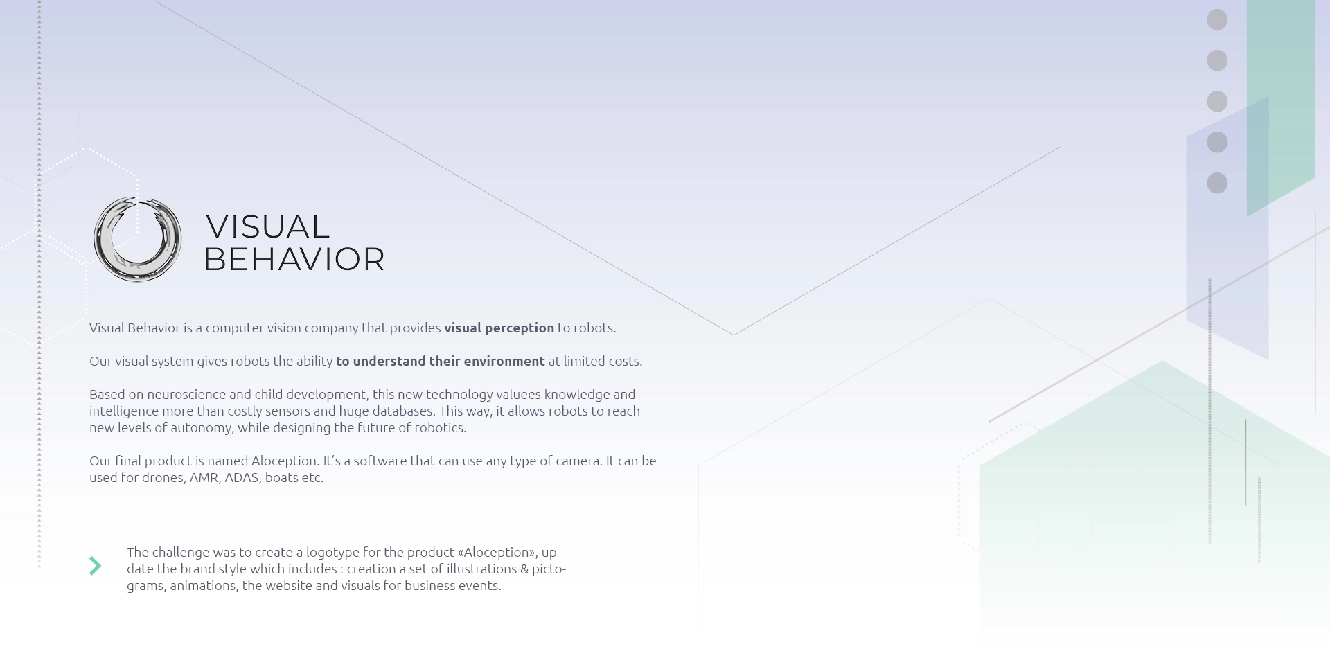 visual behavior - Visual brand / Website design